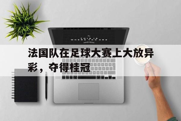 法国队足球成绩